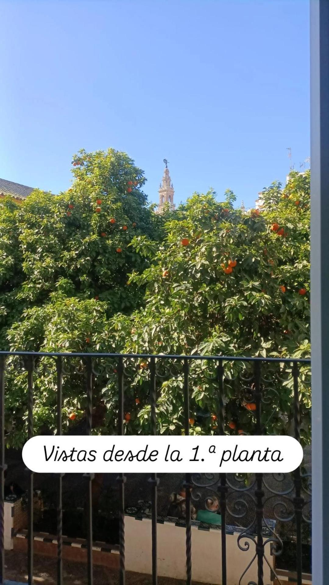Apartamentos En La Plaza Dona Elvira, 7 Sevilha Exterior foto